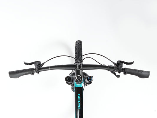 Lee Cougan Droid Sram SX Eagle 1x12 Grün