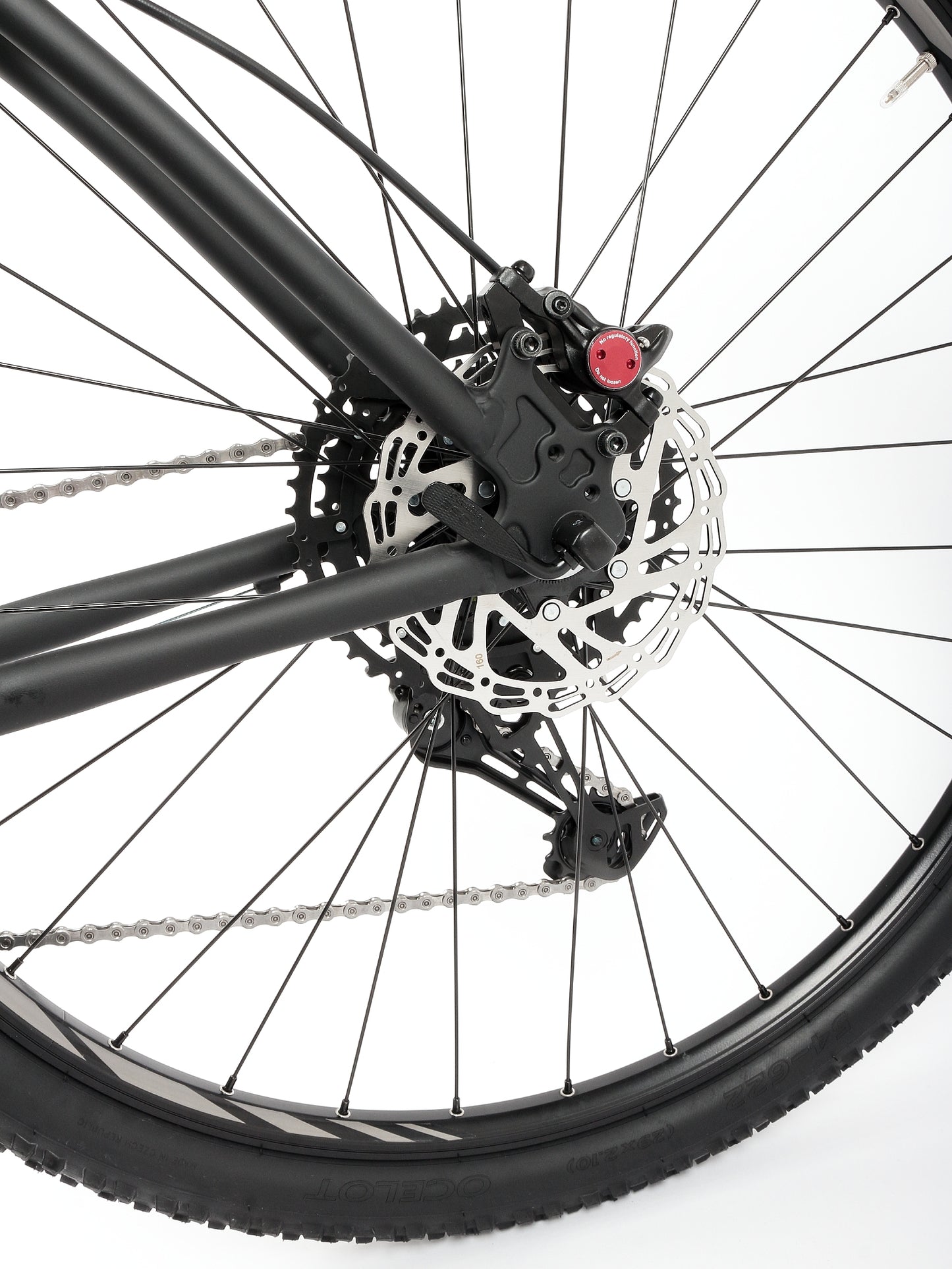 Spyder Piana Shimano Queues